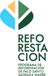 Programa de reforestación de Palo Santo Sagrada Madre