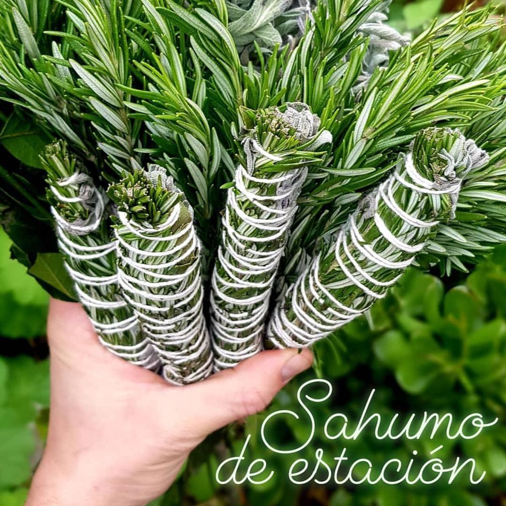 Seasonal Herbs Sahumo
